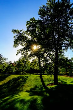 Views at Inniswood Metro Gardens, Westerville, Ohio