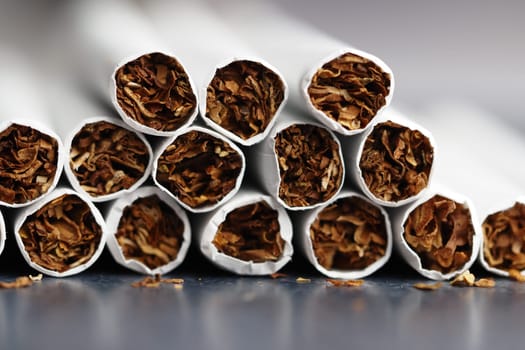 Neatly arranged tobacco rolls showcase their dried, textured contents.
