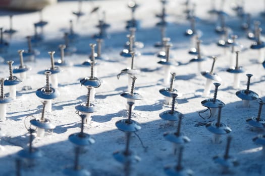 Numerous metal screws arranged neatly on a white surface under sunlight.