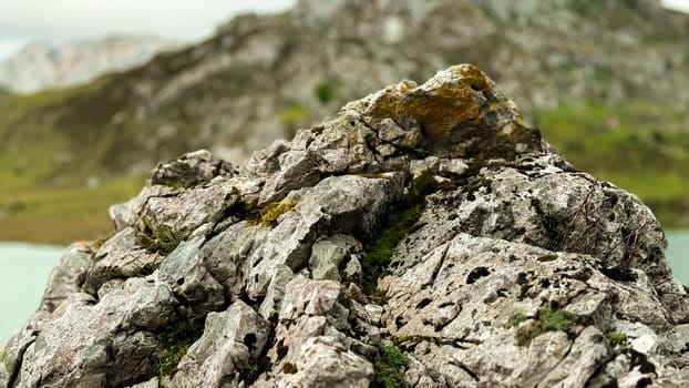 Close up of moss covered rocky terrain in mountainous landscape.