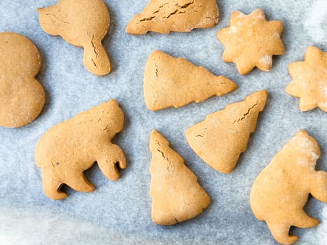 Assorted gingerbread cookies on baking paper with christmas shapes.