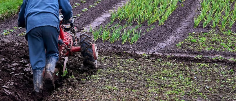 An aged red tractor plowing a vast rural field, preparing the rich soil for planting. Farmer in denim overalls guiding the tractor through fertile land on a sunny day.