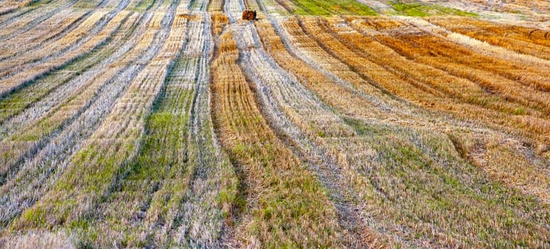As the day wanes, the landscape reveals a tapestry of harvested fields adorned with stripes of varied hues, ranging from deep greens to golden browns. The undulating lines created by the farming process form an intricate design across the terrain.