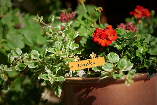 Flowers as a gift with a sign with the German inscription danke, Thank you