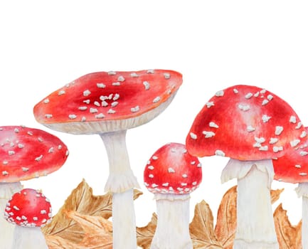 Red fly agaric. Watercolor hand drawn illustration. Realistic botanical Amanita muscaria mushroom clip art for eco goods, textiles, natural herbal medicine, healthy tea, cosmetics, homeopatic remedies.