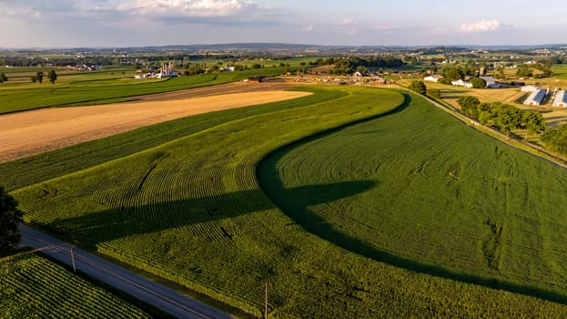 Serenity fills the air as rolling green fields stretch across the landscape, interspersed with winding roads and distant farmhouses during a warm evening.