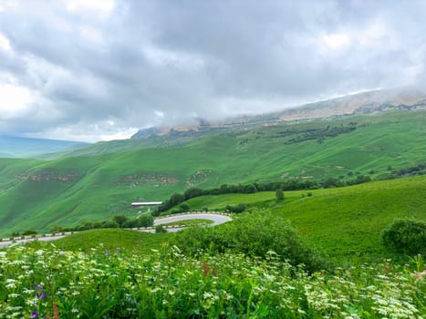 Lush green hills stretch across the landscape, dotted with wildflowers, as dark clouds loom over the distant mountain range on a tranquil day.