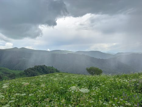 Dramatic gray clouds loom over green hills adorned with colorful wildflowers. Mist descends into the valley, creating a serene and tranquil atmosphere in the mountains.