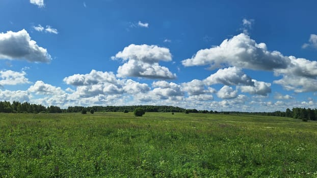 Expansive green meadow under a blue sky with fluffy clouds.