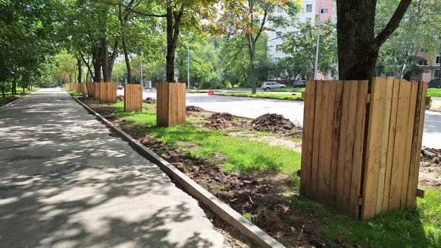 Urban greenery: trees in wooden fencing along a sunny sidewalk.