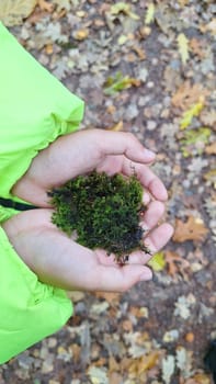 Hands holding lush green moss in vibrant outdoor autumn setting.