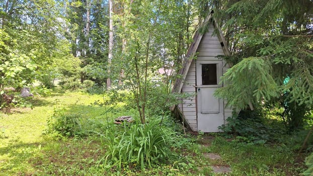 Enchanting forest cabin surrounded by lush greenery and tall trees.