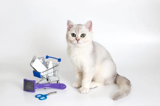 White cat sits on a white background with a shopping trolley full of pills and medicines. Nearby are claw scissors and a comb. Medicines and products for the care of pets.