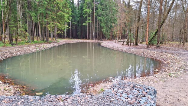 Serene forest pond surrounded by trees in tranquil natural setting.