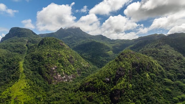 Slopes of mountains with evergreen vegetation. Seychelles, Mahe.
