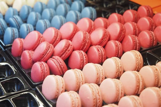 Rows of blue, pink, and white macarons are presented attractively.