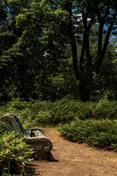 On a picturesque path in the park there is a bench for rest. Park with tall trees. Juniper grows around the bench.
