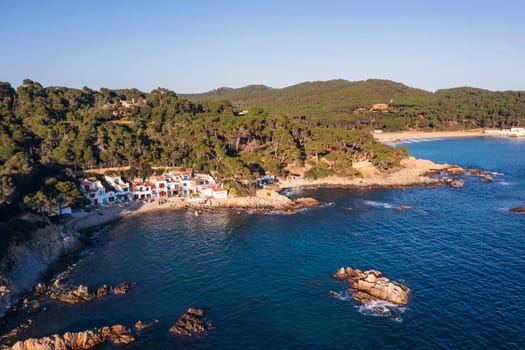 aerial view of a rocky coastline with fishermen's houses next to pine forests that reach the sea, concept of nature and seafaring lifestyle