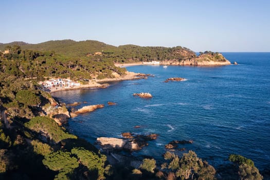aerial view of a beautiful rocky coastline with pine forests reaching to the sea, concept of nature and seafaring lifestyle