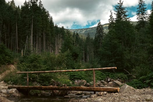 A simple wooden footbridge spans a rocky mountain stream in the heart of a dense forest. The natural setting emphasizes the bridge's rustic charm.