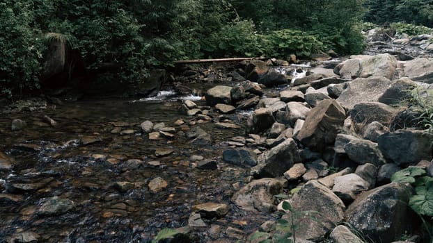 The stream carves a path through the forest, cascading over stones and creating a peaceful atmosphere. The rich, green foliage frames the natural beauty of the scene.