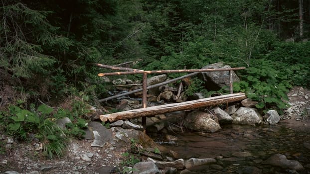 The stream carves a path through the forest, cascading over stones and creating a peaceful atmosphere. The rich, green foliage frames the natural beauty of the scene.