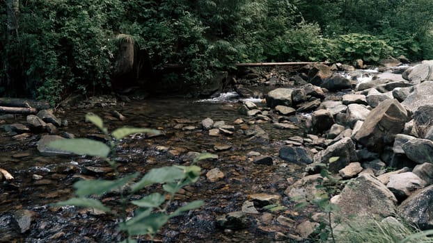 The stream carves a path through the forest, cascading over stones and creating a peaceful atmosphere. The rich, green foliage frames the natural beauty of the scene.