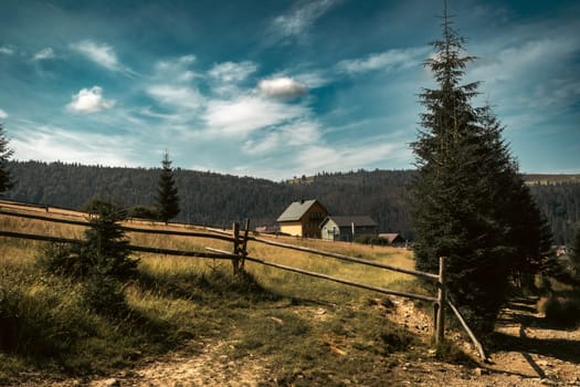 In this calm countryside setting, a simple wooden fence leads toward a home nestled on a hill. The surrounding pine trees and open sky create a feeling of tranquility and natural beauty.
