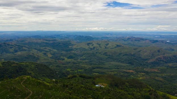 Mountains with rainforest and jungle in the mountainous province of Sri Lanka.