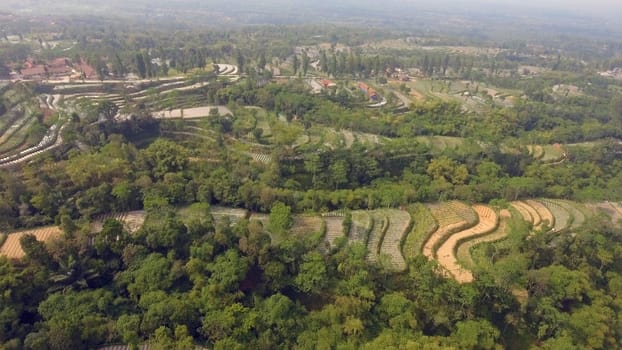 agricultural land in mountains rice terraces, fields with crops, trees. Aerial view farmlands on mountainside Java, Indonesia. tropical landscape