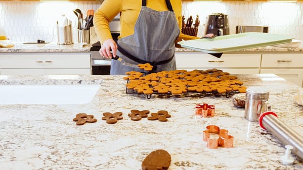After baking to perfection, these delightful gingerbread cookies are now cooling gracefully on a wire rack, filling the modern kitchen with a warm and inviting aroma.