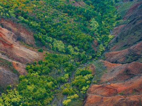 Aerial perspective of a green valley with dense vegetation, reddish brown cliffs, and a winding stream in Waimea Canyon, Kauai Island, Hawaii.