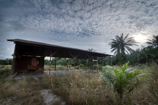 image around a vacant dilapidated house stands alone at the plantation