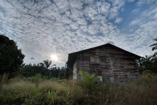 image around a vacant dilapidated house stands alone at the plantation