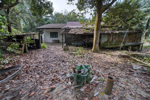image around a vacant dilapidated house stands alone at the plantation