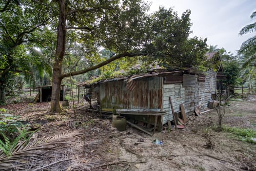 image around a vacant dilapidated house stands alone at the plantation