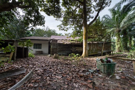 image around a vacant dilapidated house stands alone at the plantation