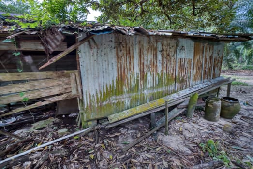 image around a vacant dilapidated house stands alone at the plantation