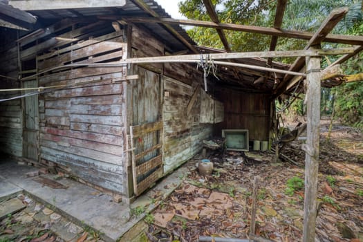 image around a vacant dilapidated house stands alone at the plantation