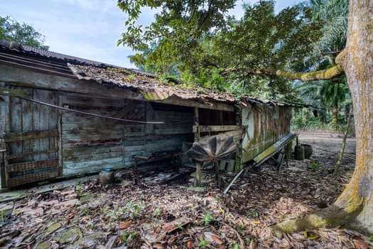 image around a vacant dilapidated house stands alone at the plantation