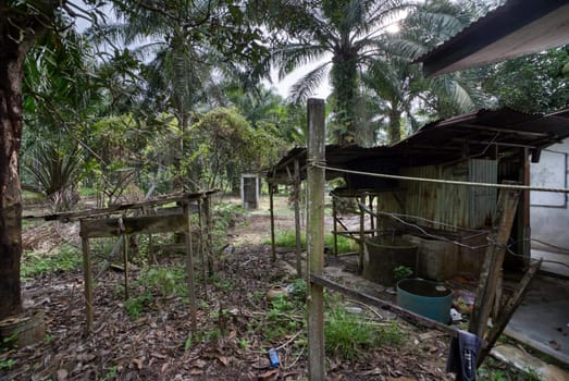 image around a vacant dilapidated house stands alone at the plantation