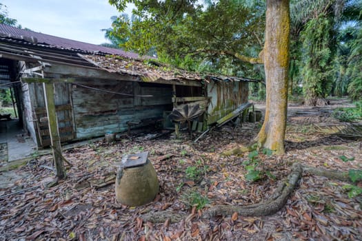 image around a vacant dilapidated house stands alone at the plantation