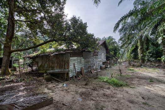 image around a vacant dilapidated house stands alone at the plantation