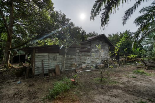 image around a vacant dilapidated house stands alone at the plantation