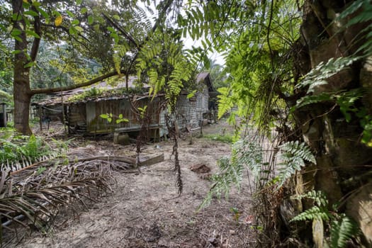 image around a vacant dilapidated house stands alone at the plantation