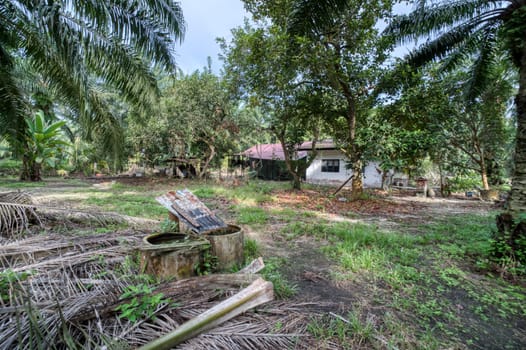 image around a vacant dilapidated house stands alone at the plantation