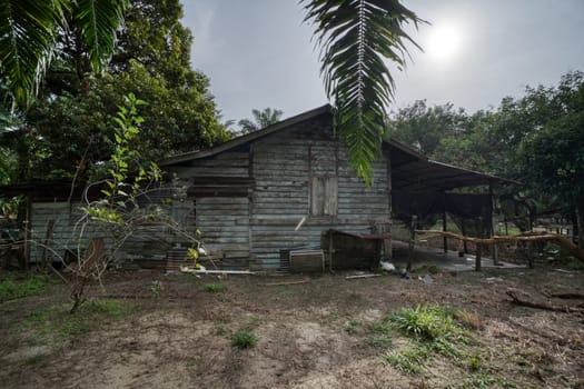 image around a vacant dilapidated house stands alone at the plantation