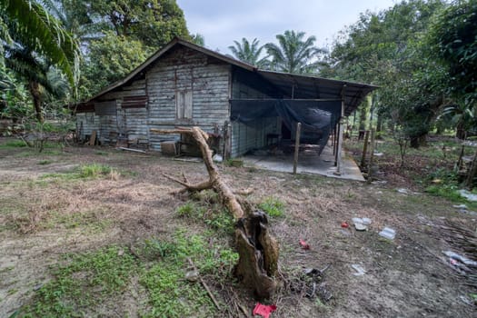 image around a vacant dilapidated house stands alone at the plantation