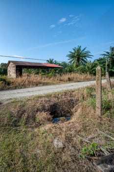 image around a vacant dilapidated house stands alone at the plantation