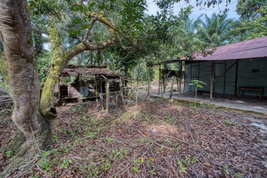 image around a vacant dilapidated house stands alone at the plantation